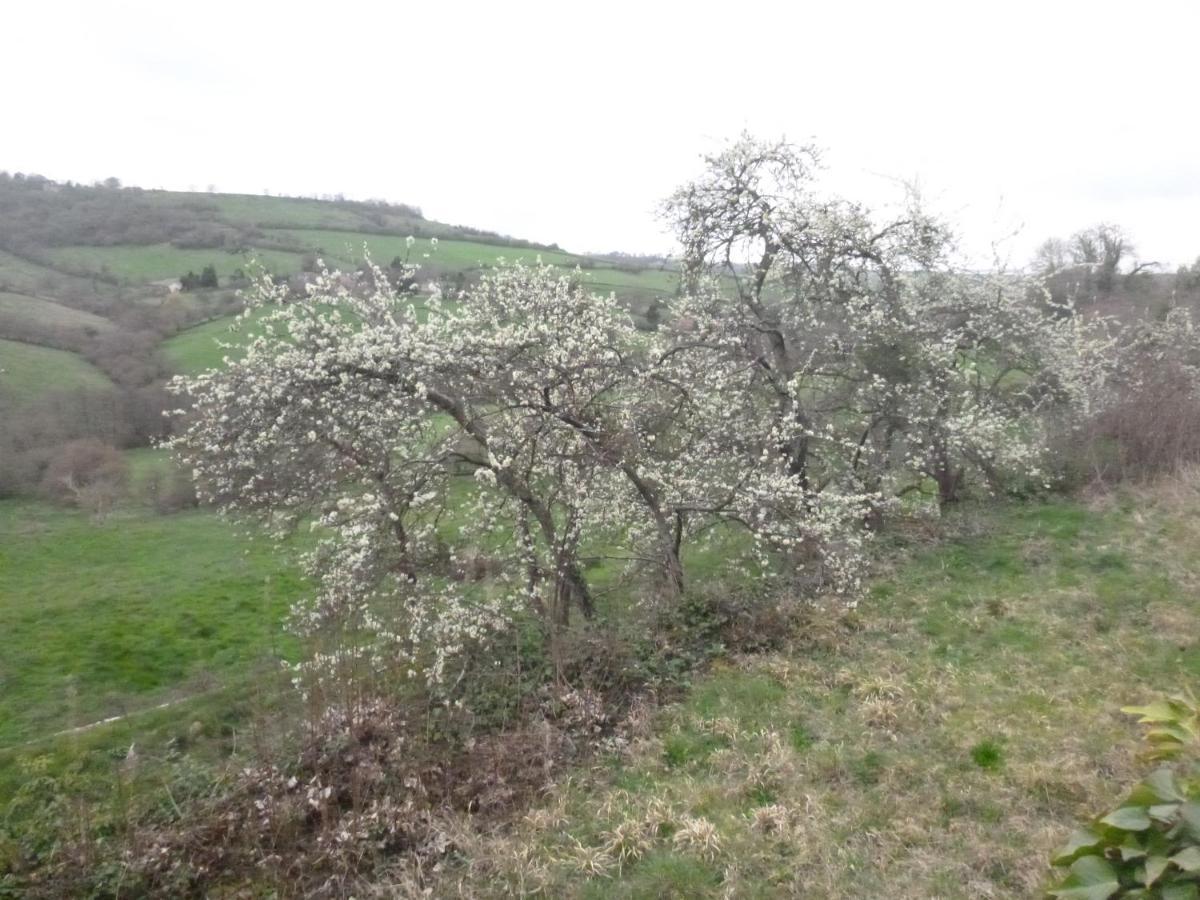 La Maison Des Fleurs Montembœuf Eksteriør bilde