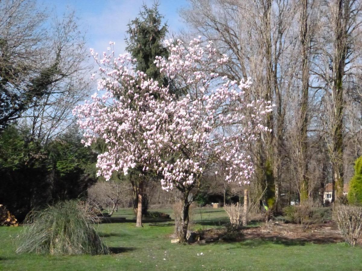 La Maison Des Fleurs Montembœuf Eksteriør bilde